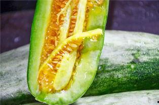 网红吃瓜网站叫什么,揭秘娱乐圈幕后真相  第3张